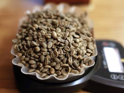 Café de lujo, punto para Panamá en el mundo del ecoturismo