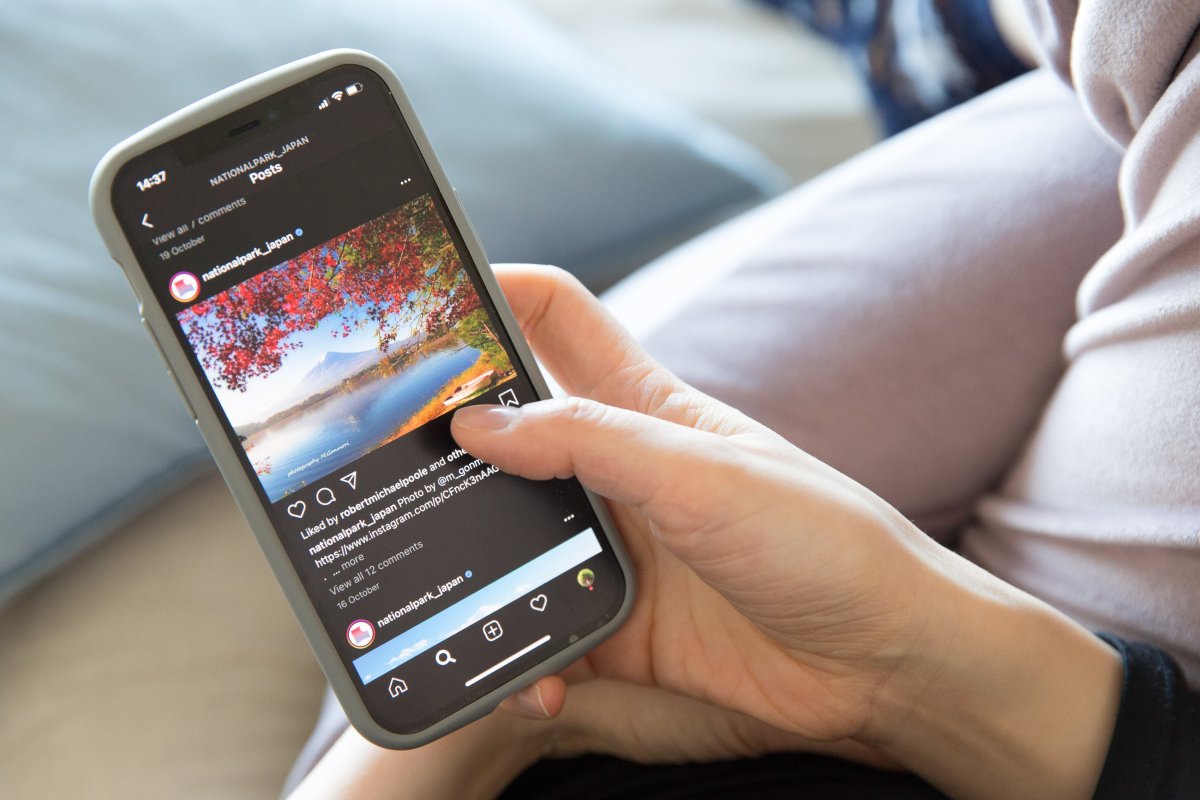 Últimas Noticias: Los Anuncios En Redes Sociales Engañan A Los Usuarios: Así Se Cuela La Publicidad En Instagram