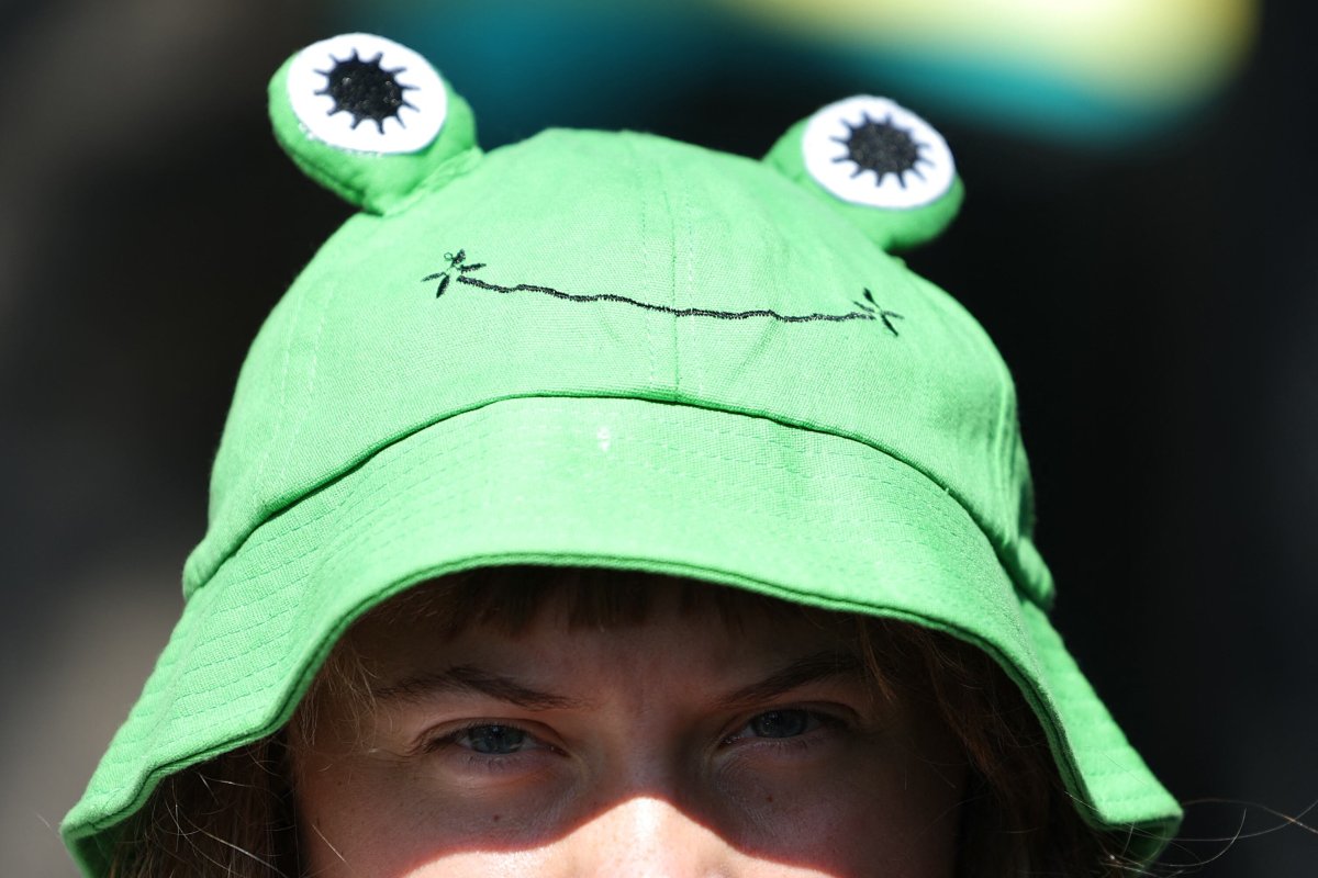 Se Confirma: El Sombrero De Rana De Greta Thunberg, Un Moderno Símbolo De La Resistencia Pacífica
