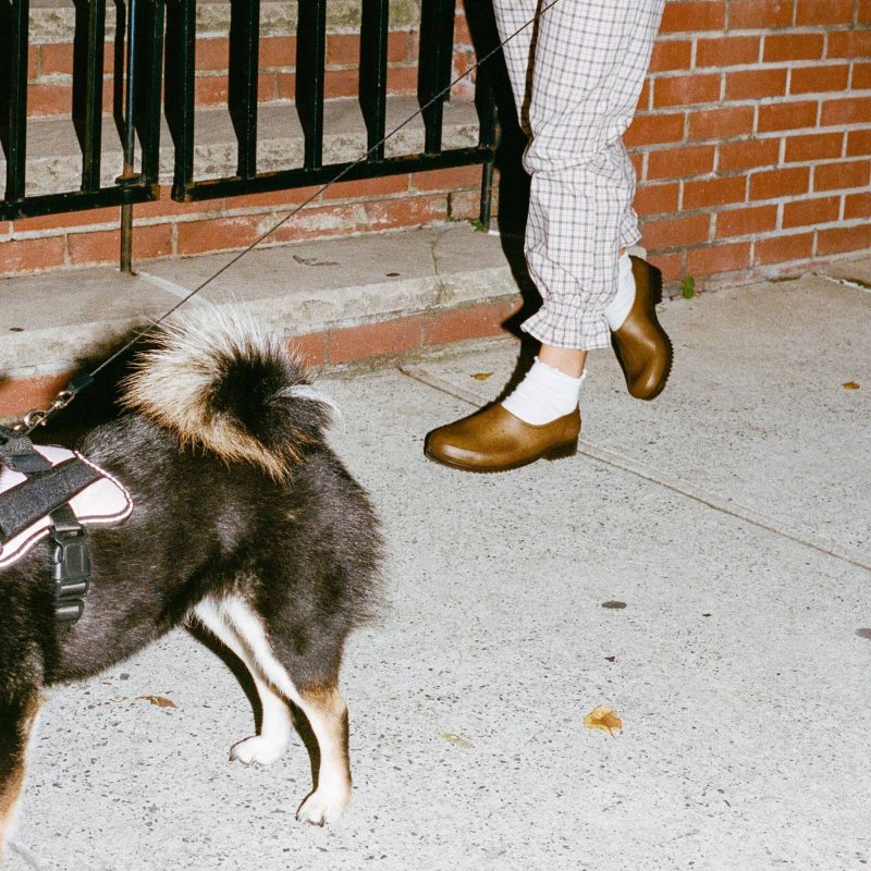 El zueco de jardinero, la pizca de feísmo que necesitamos este otoño