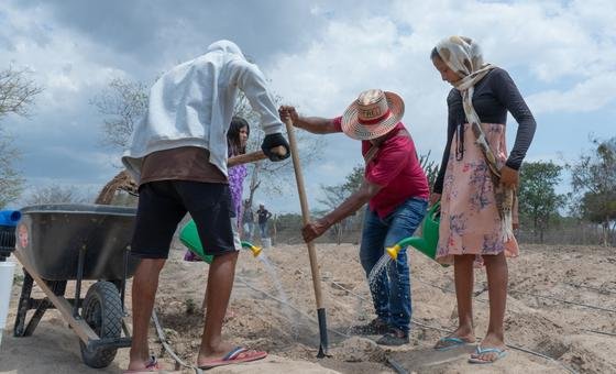 Más Del 80% Del Empleo Agrícola En América Latina Carece De Protección Y Seguridad Social