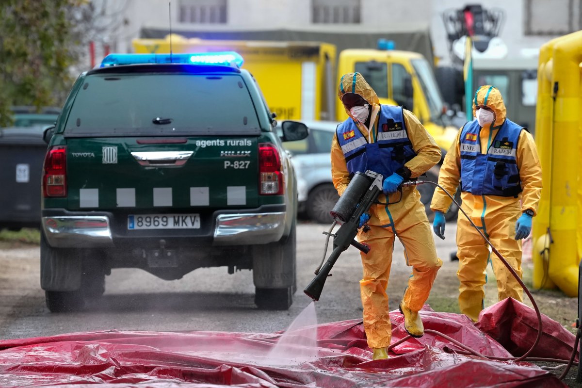 El Ministerio de Agricultura crea un comité científico del brote de peste porcina africana