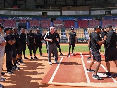 El Recurrente Tema De Apuntar Al Arbitraje En Lidom