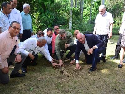 Feda dona cinco millones plántulas