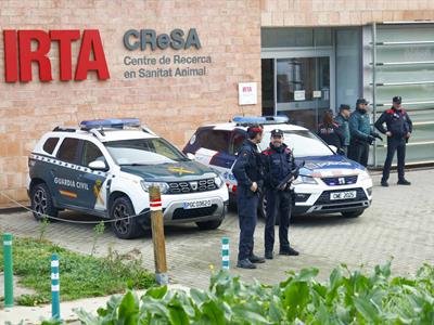 Descartan Que Brote De Peste Porcina En España Saliera De Laboratorio