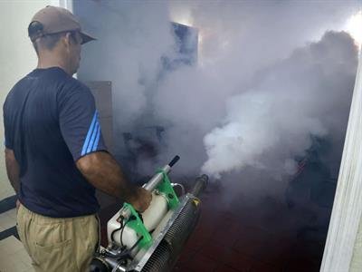 Cuba: 55 muertos por dengue y chikunguña