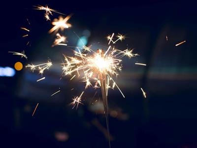 Últimas Noticias: En Nochevieja, Alemanes Y Sus Perros Se Refugian Del Caos Pirotécnico