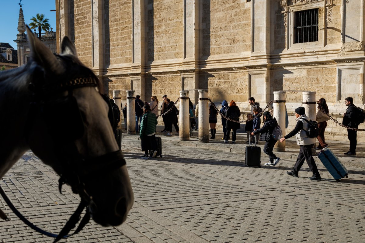 Análisis: Balance Y Perspectivas