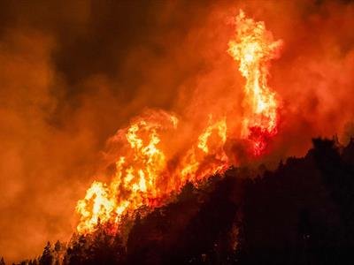 Incendios Forestales Arrasan En La Patagonia Argentina