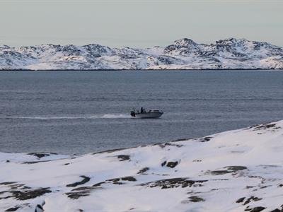 Groenlandeses dicen a Donald Trump: Groenlandia no está a la venta