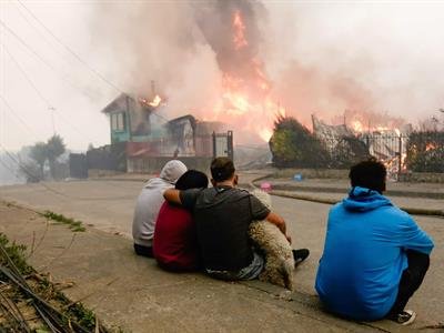 Desarrollo: Especial: Análisis: Chile: Incendios Forestales Causan 21 Muertes Y Devastan Biobío