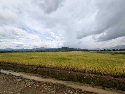 ¿Cuáles son los principales retos del sector agrícola en el Caribe?
