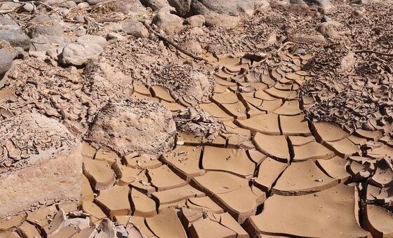 El Niño gana fuerza en América Latina: sequía, hambre y riesgo de inundaciones marcan los próximos meses